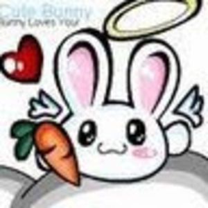 Meet your Posher, Chauney sadlier